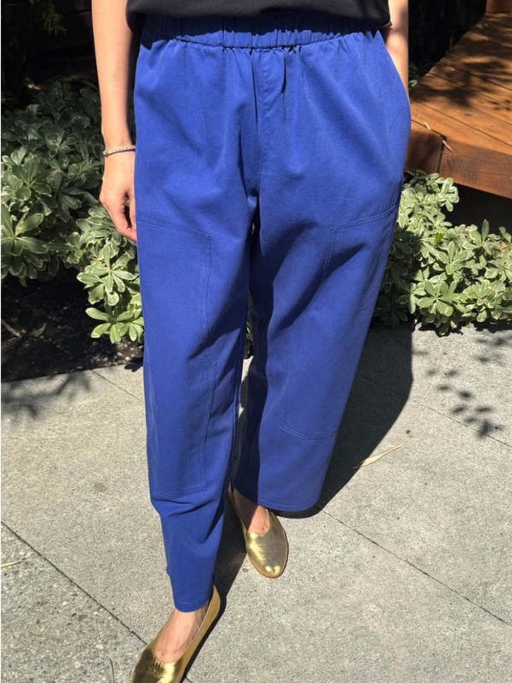 Le Bon Shoppe- Gardener Pants- small